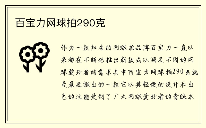 百宝力网球拍290克