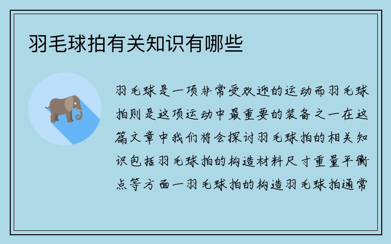 羽毛球拍有关知识有哪些