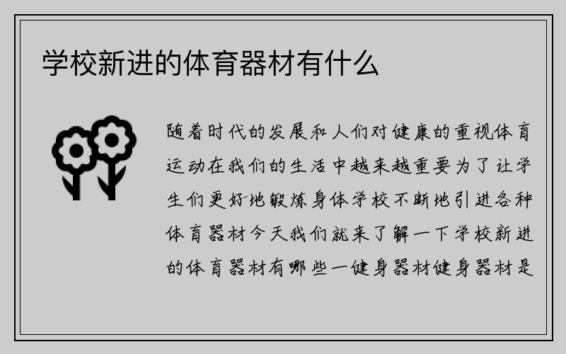 学校新进的体育器材有什么